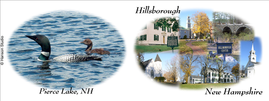 Hillsborough Collage and Loon with Pierce Lake, NH